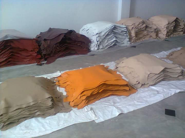Sangida Leather